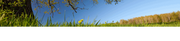75811462