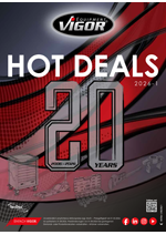 Vigor 2026-1